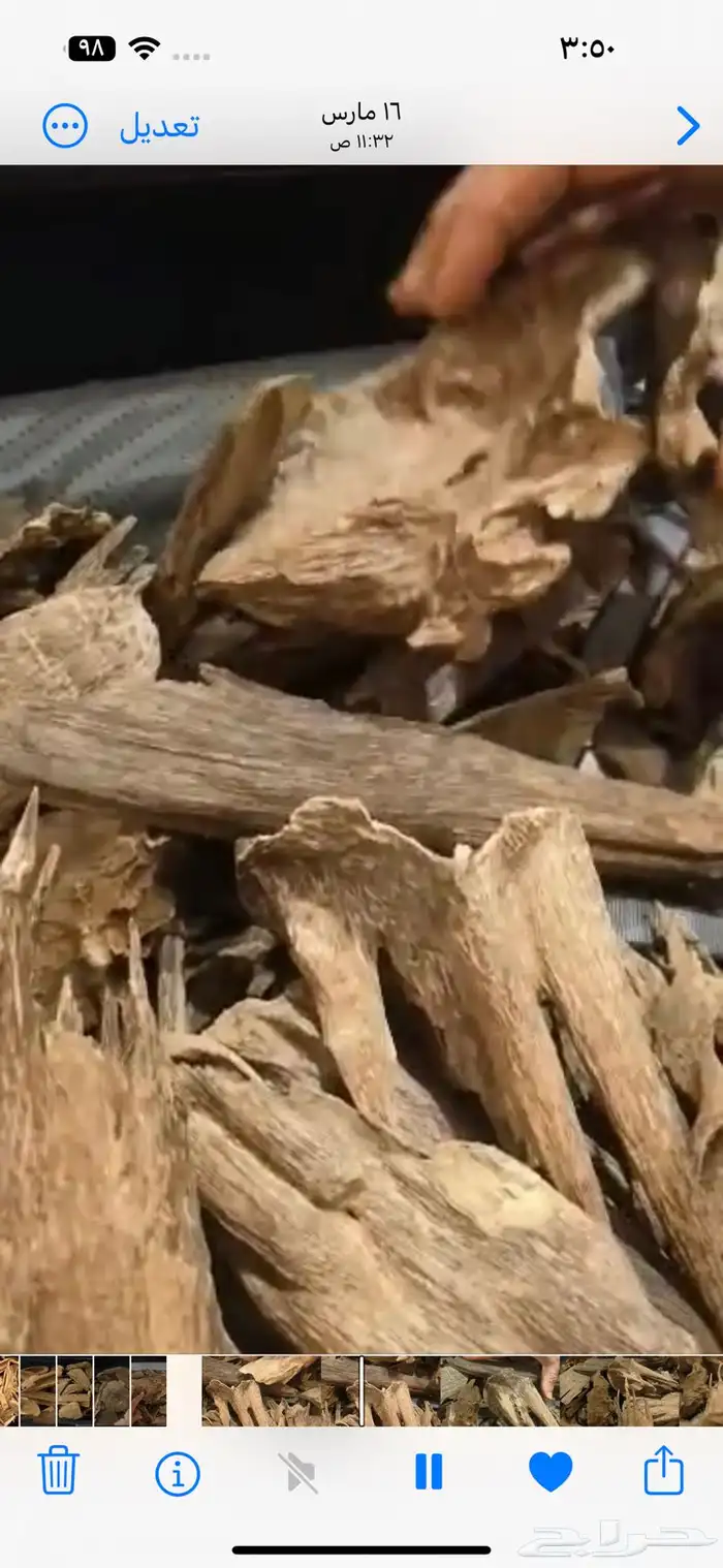 عود كلمنتان مالينو  ورد طائفي قطفة أولى بيور اللون الأخضر 5