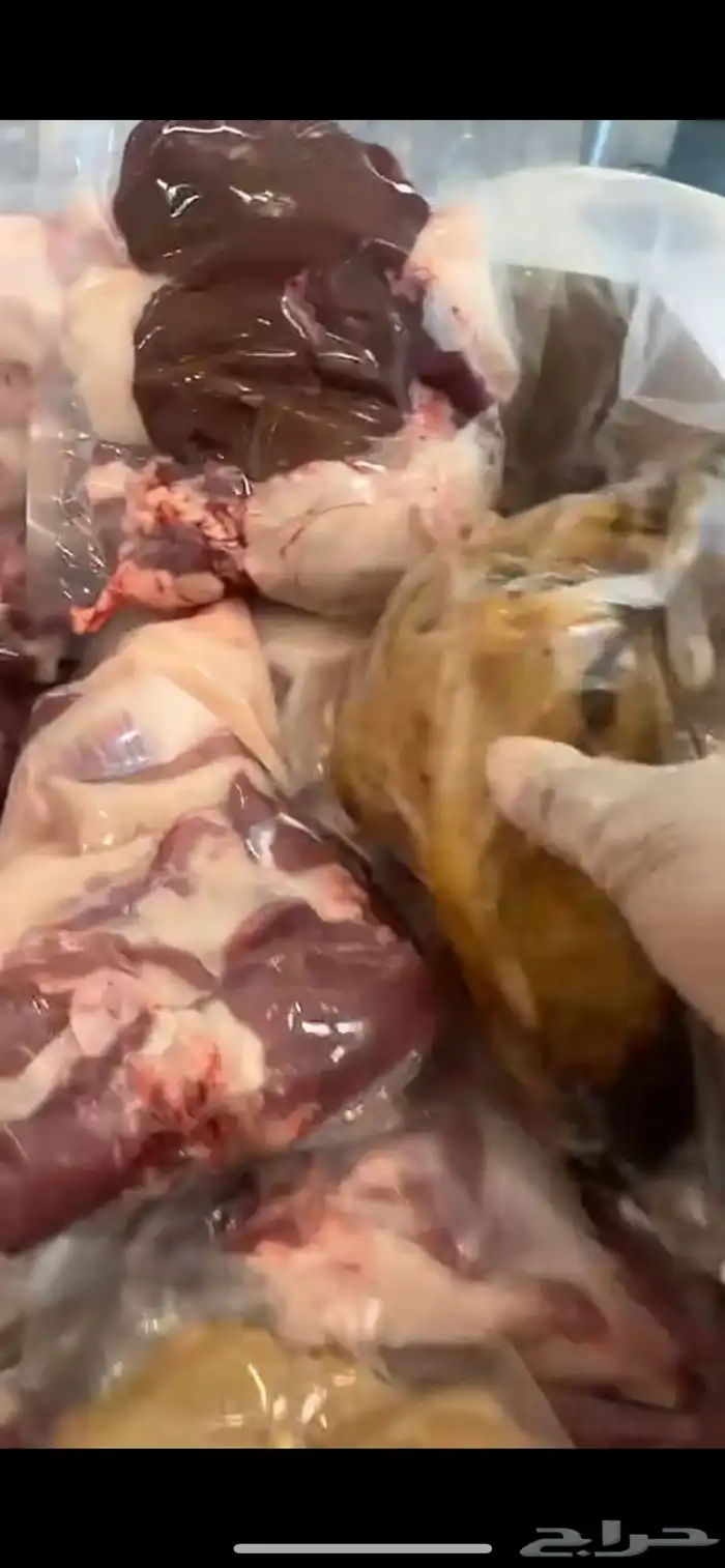 ذبايح حريات . 4