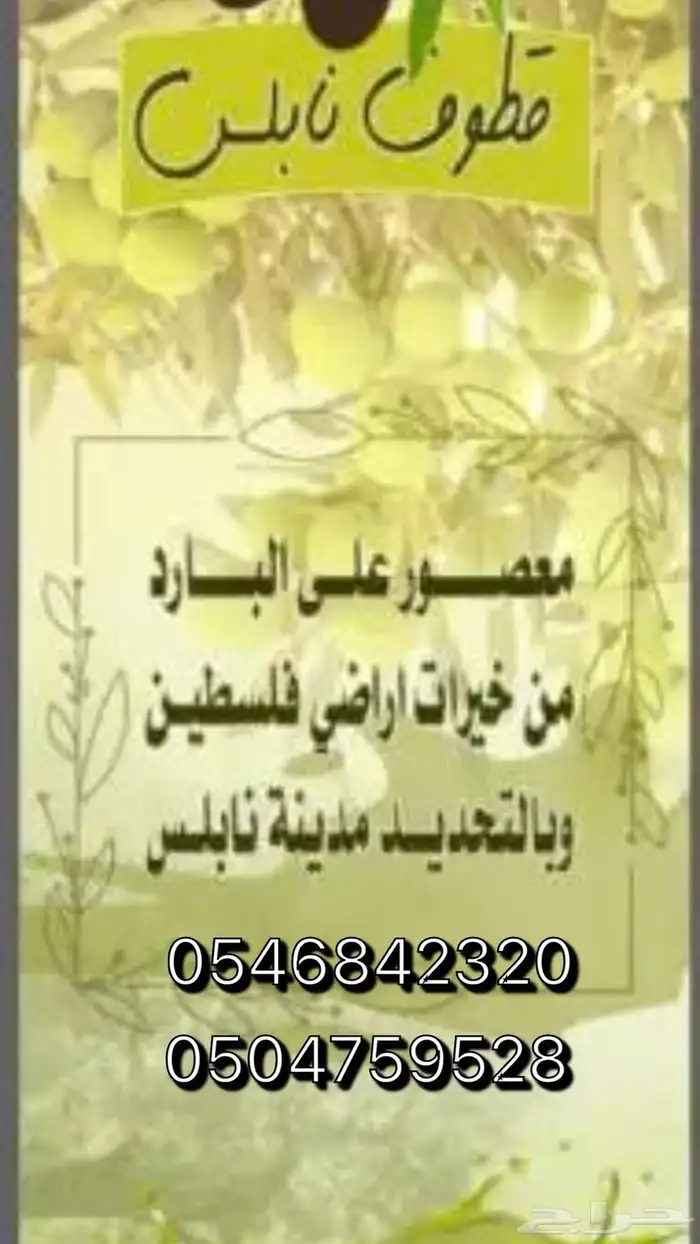 زيت زيتون فلسطيني 0