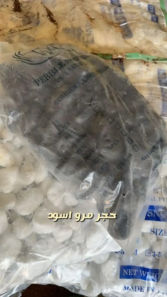 شتلات وورد وشتلات خضار واشجار زينه وداخليه 18