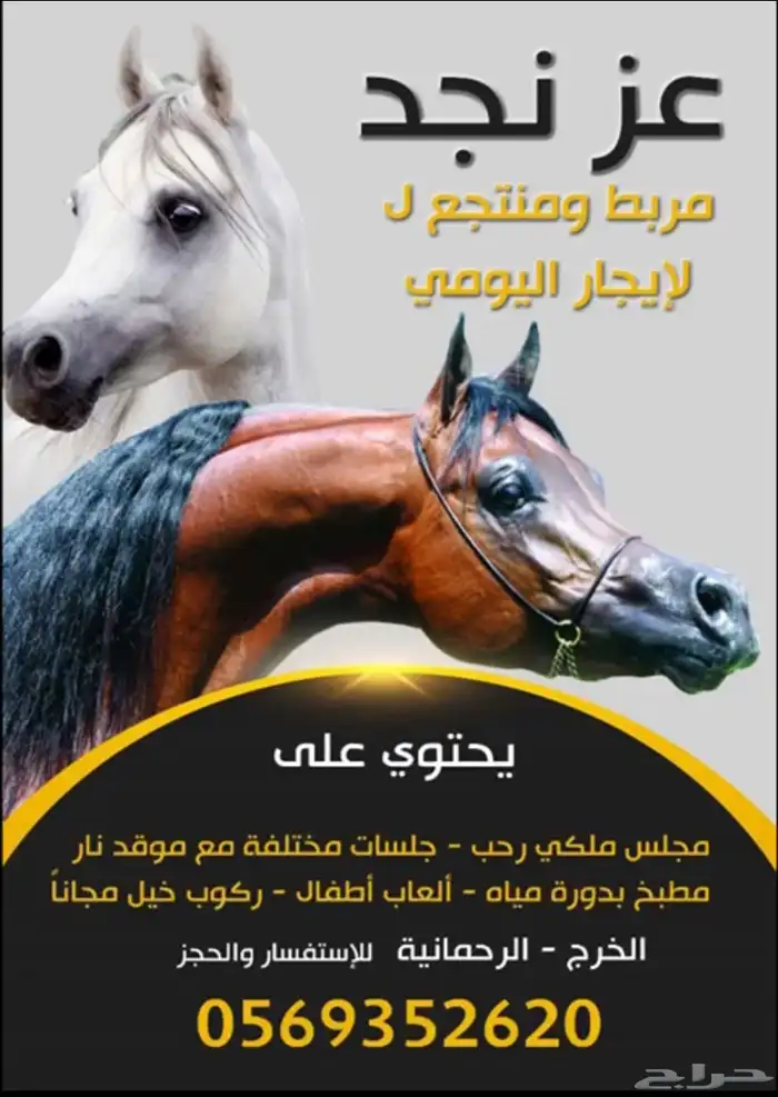 منتجع و مربط عز نجد 0