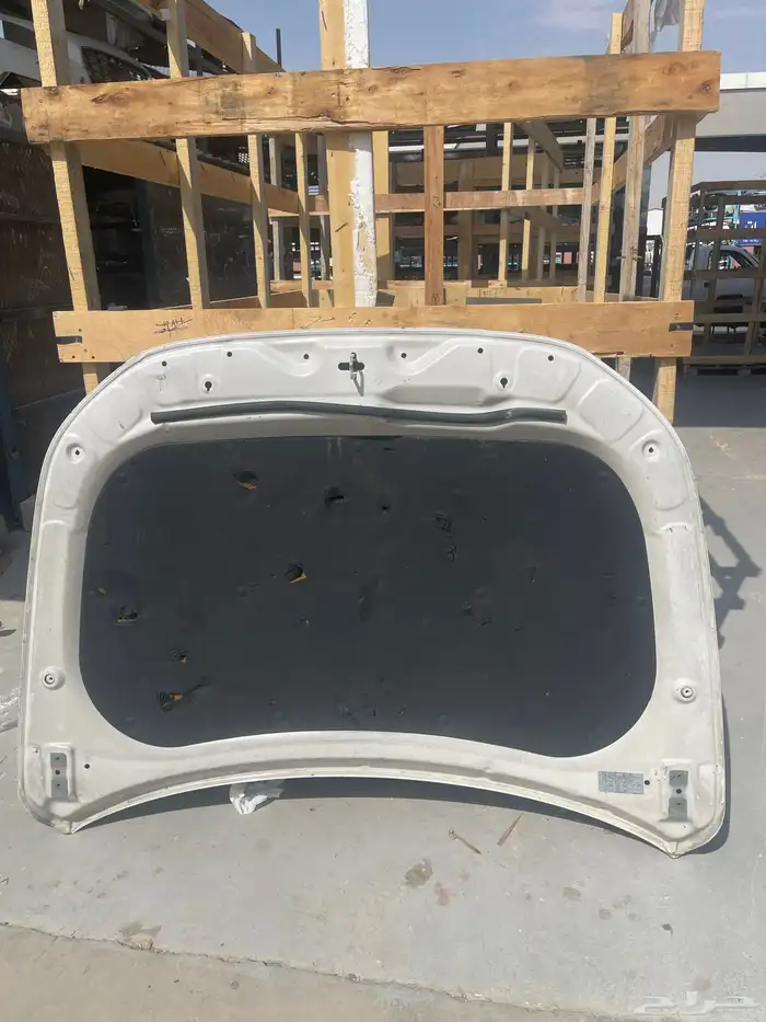 كبوت ازيرا 2018_2020 3