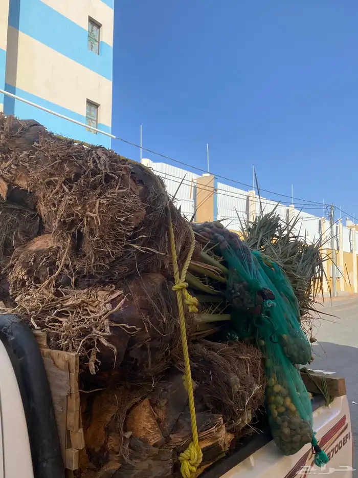 خلاص متواجد بحائل 6