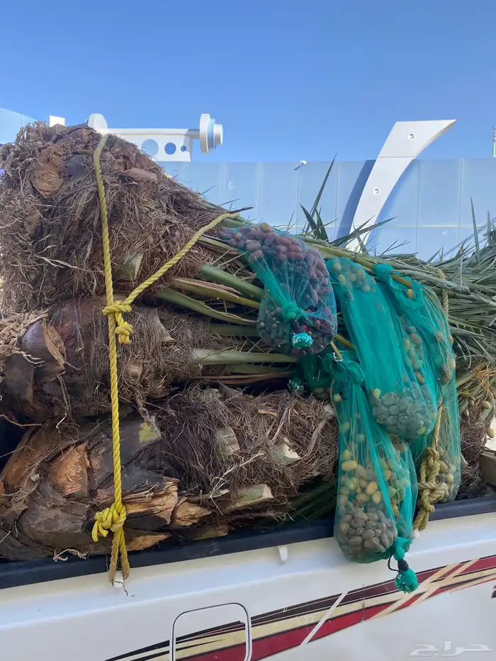 خلاص متواجد بحائل 3