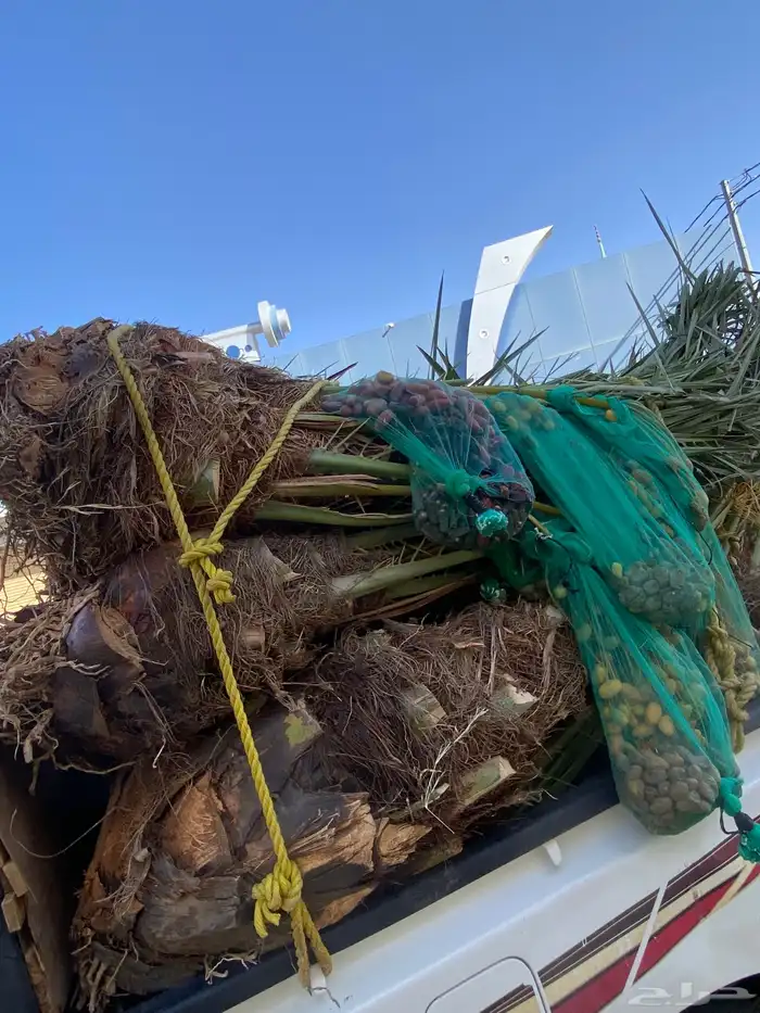 خلاص متواجد بحائل 0