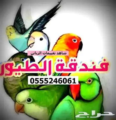 فندقة حيوانات أليفة 6061 24 0555 الرياض - حي المصيف 1