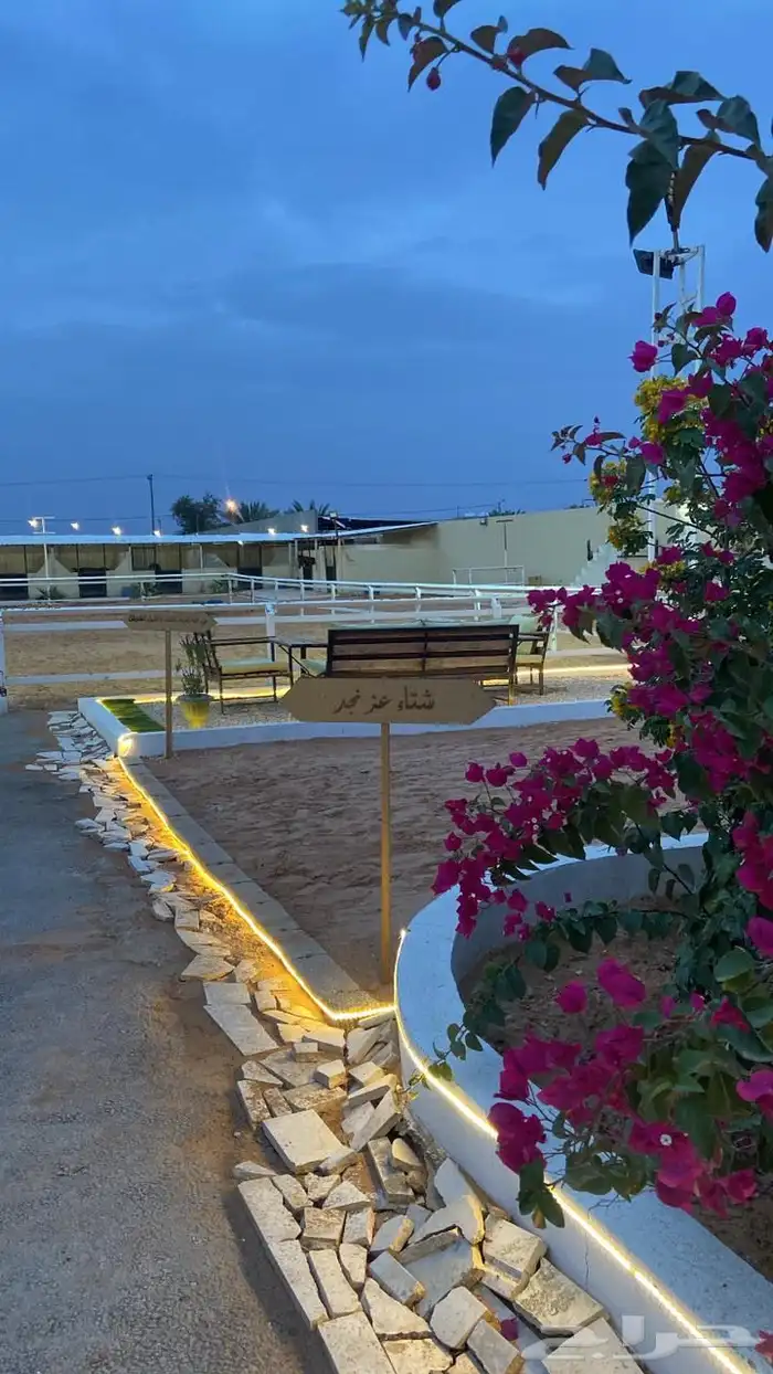 منتجع و مربط عز نجد 6