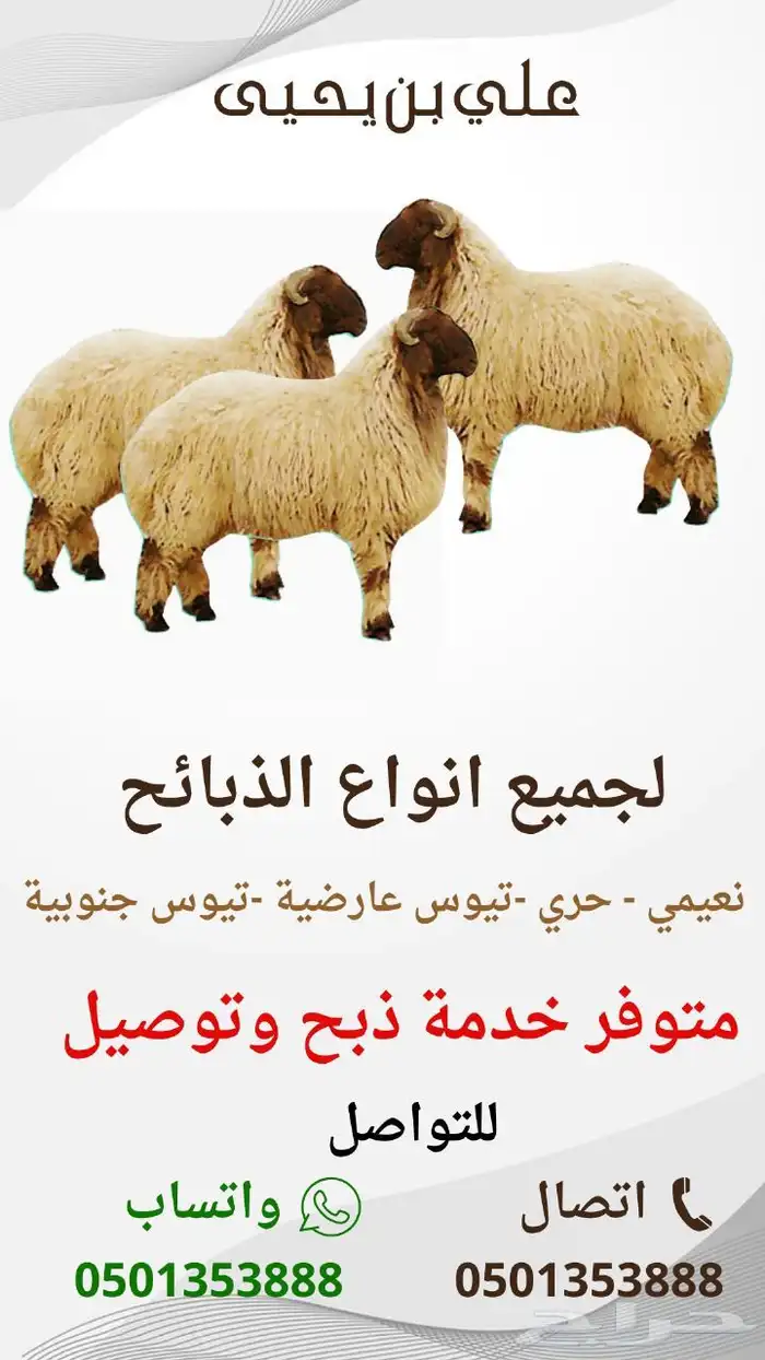 ذبايح ابو يحيى كاش و اقساط 0