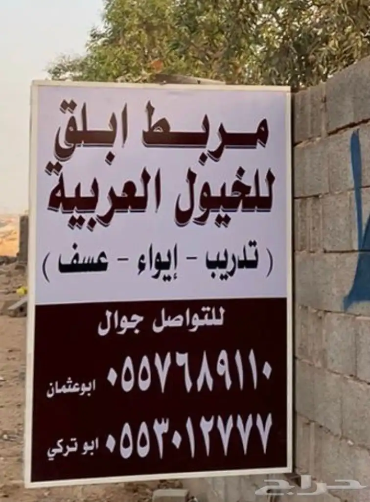 مربط ابلق 4