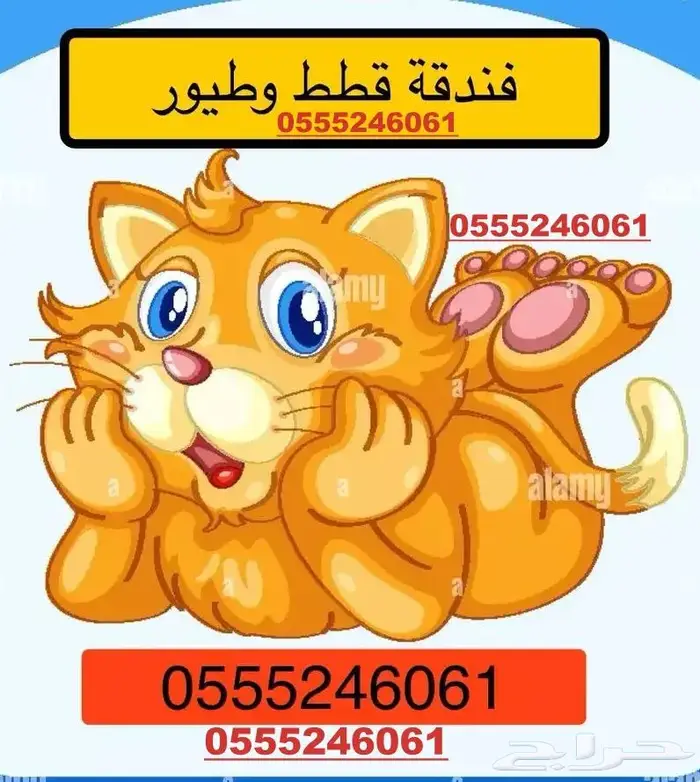 فندقة قطط وطيور 6061 24 0555 شاهد التقييمات 1