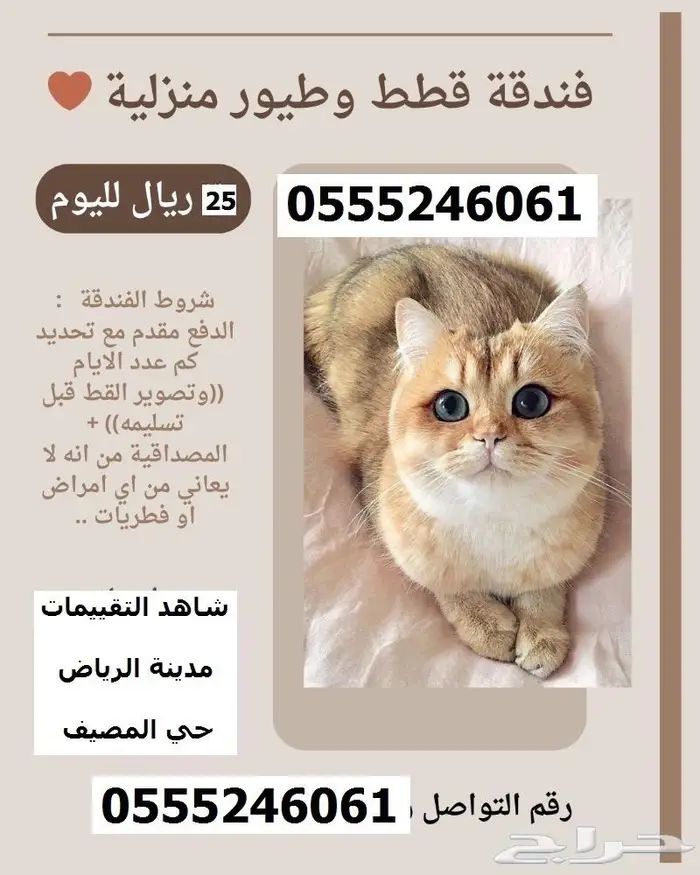 فندقة قطط وطيور 6061 24 0555 شاهد التقييمات 0