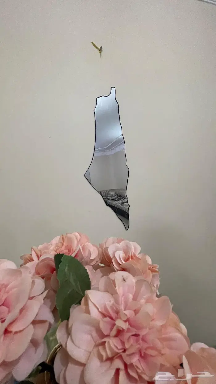 مرايه خريطه فلسطين 2