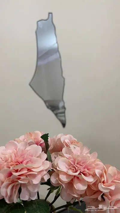 مرايه خريطه فلسطين 3