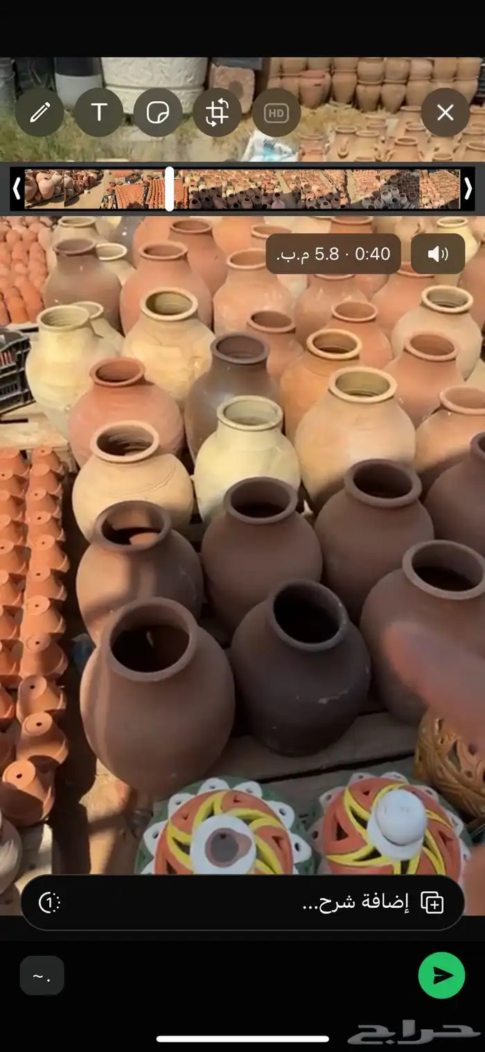 شتلات وورد وشتلات خضار واشجار زينه وداخليه 14