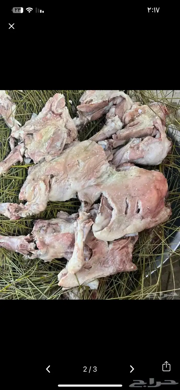 مرخ طازج يومي 2