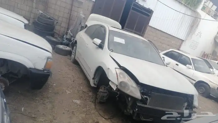 التيما 2010 0