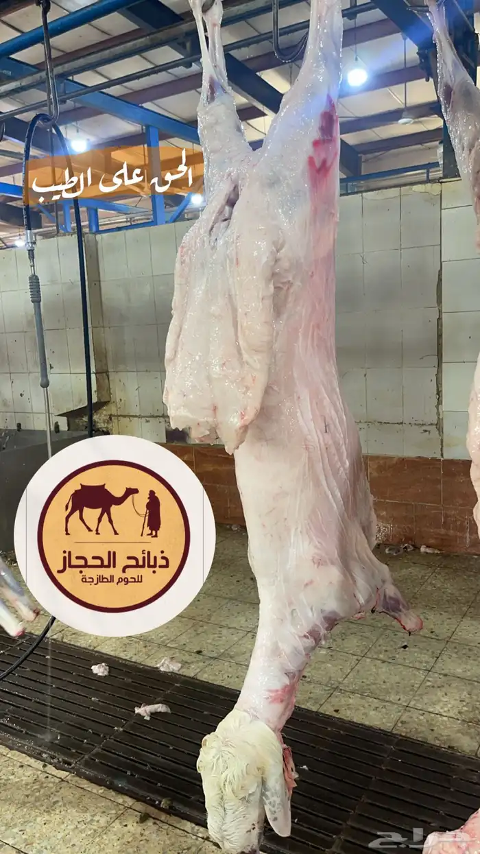 ملحمة ذبائح الحجاز-مخطط البدراني-بجوار صيدلية المجتمع 3