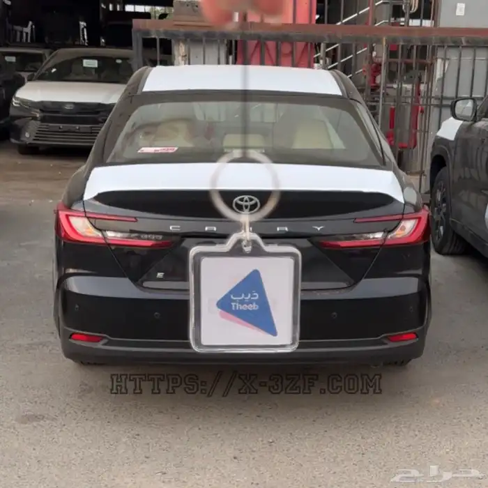 ميداليات بدجت وذيب 2