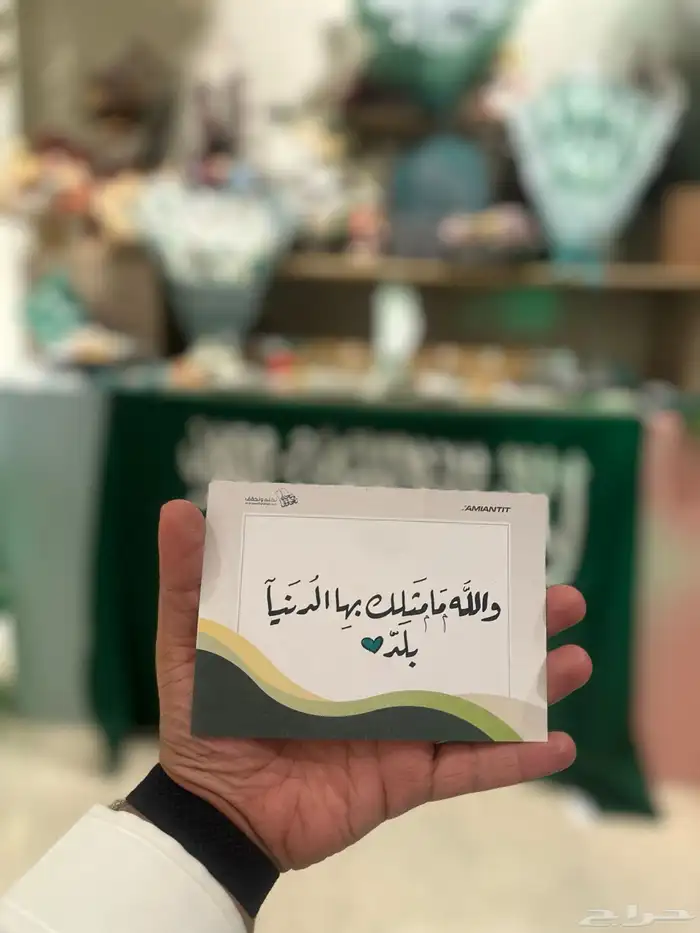 خطاط الشرقية اليوم الوطني 95 3