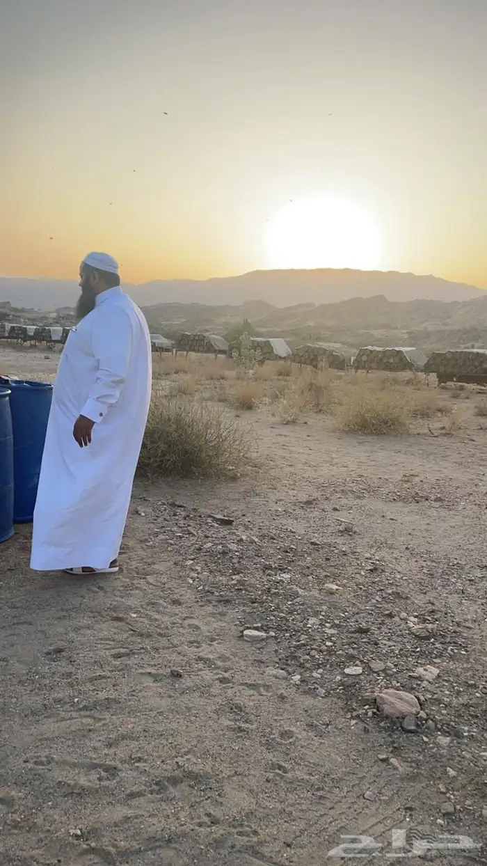 عسل سدره وسمره وطلحه وغذاء الملكات وغيرها اصلي ومضمون 9