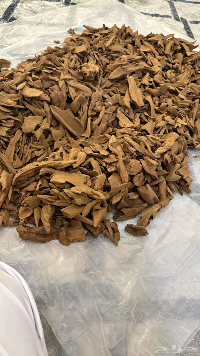 مروكي دبل وسوبر مرتفع اصقون وتقريبا 20 كينام 0