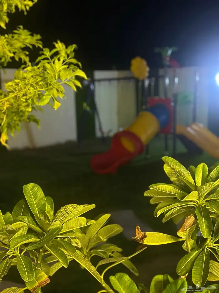 شاليه و استراحة أحلى الليالي للايجار شهر رمضان 25