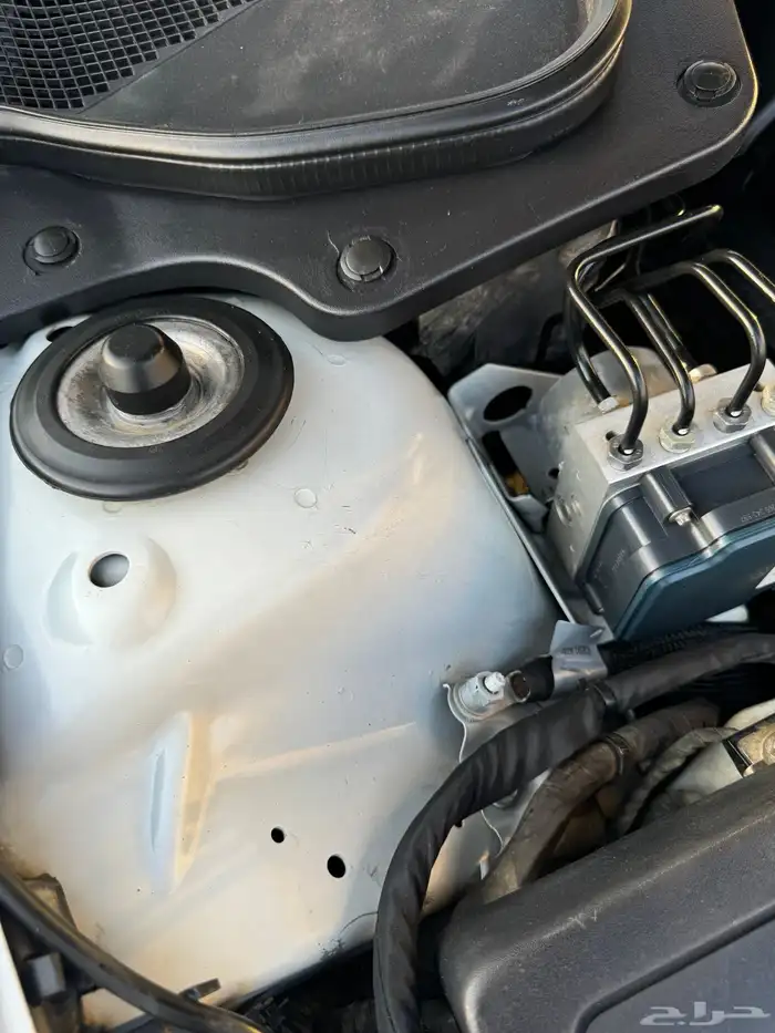 كابرس SS 2014 ( تم البيع ) 24