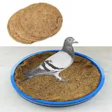 مستلزمات الحمام طيور اليمام حمام الاماسي الزاجل زاجل 8