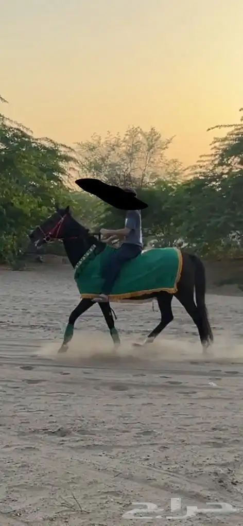 جلال خيل 0