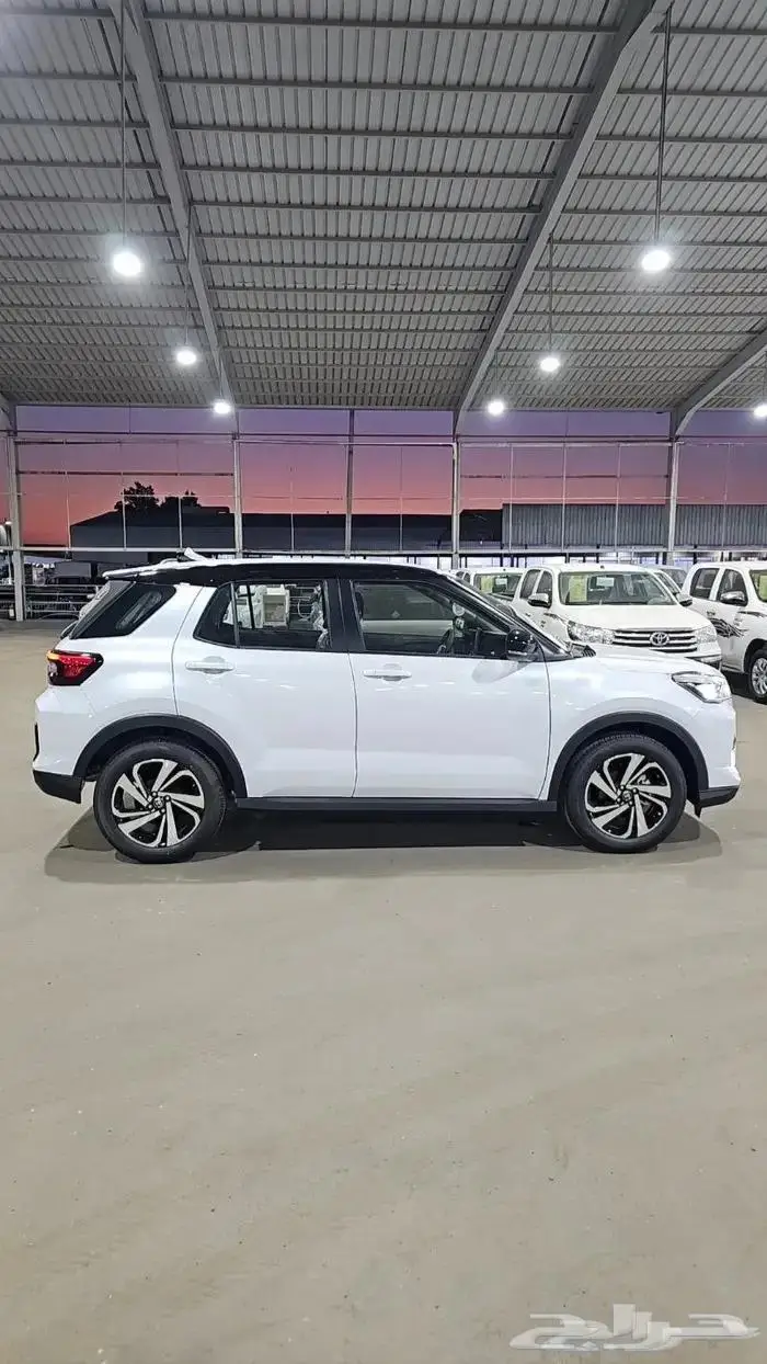 رايز 2024 موسسات شركات بنوك 1