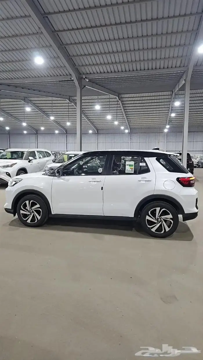 رايز 2024 موسسات شركات بنوك 0