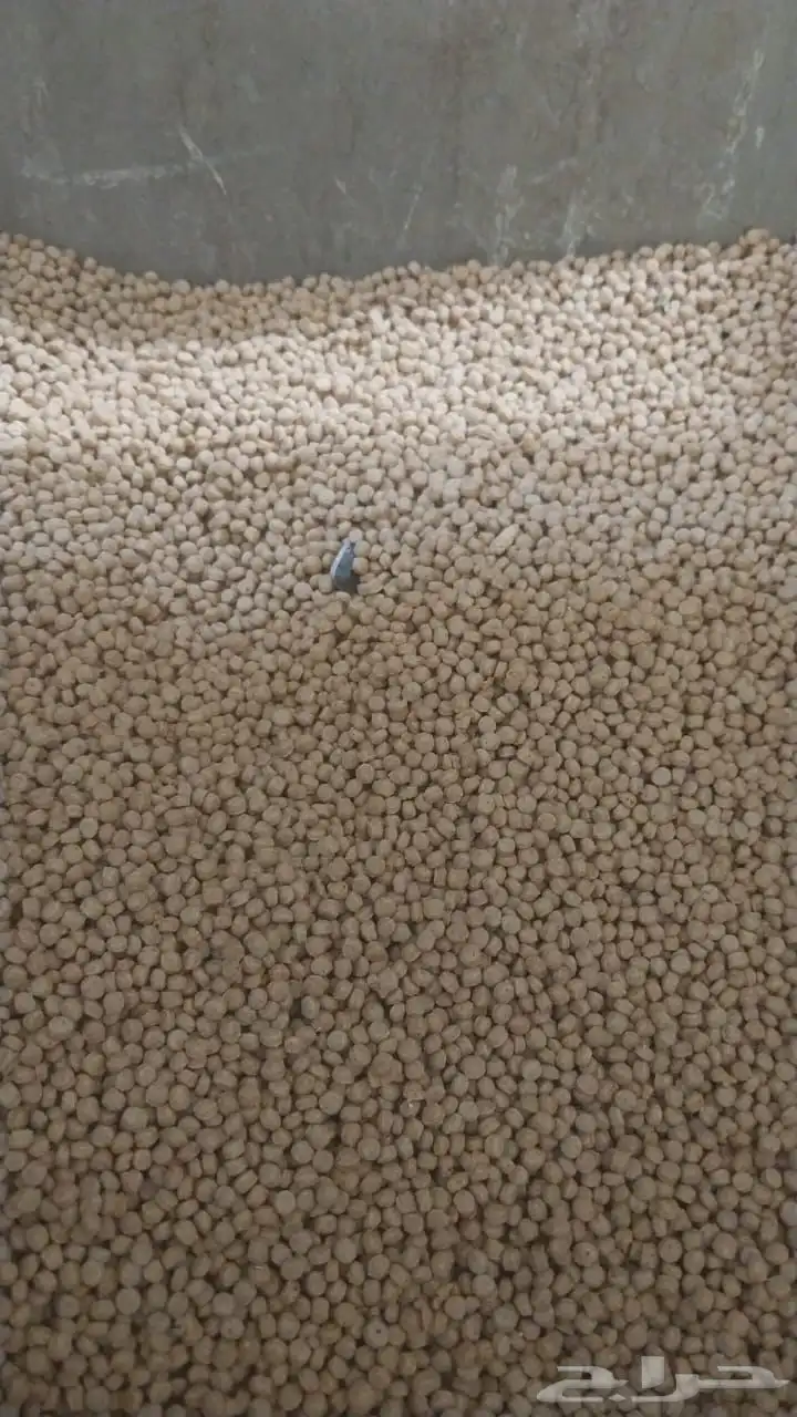 اعلاف حمام 1