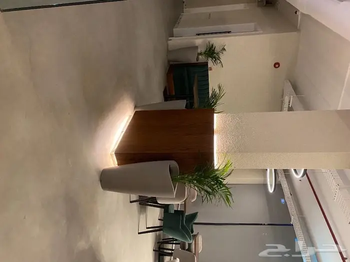 نباتات داخليه 0