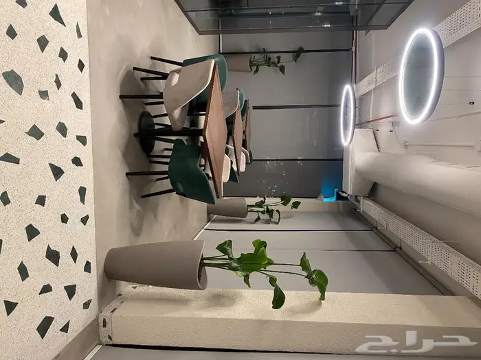 نباتات داخليه 2