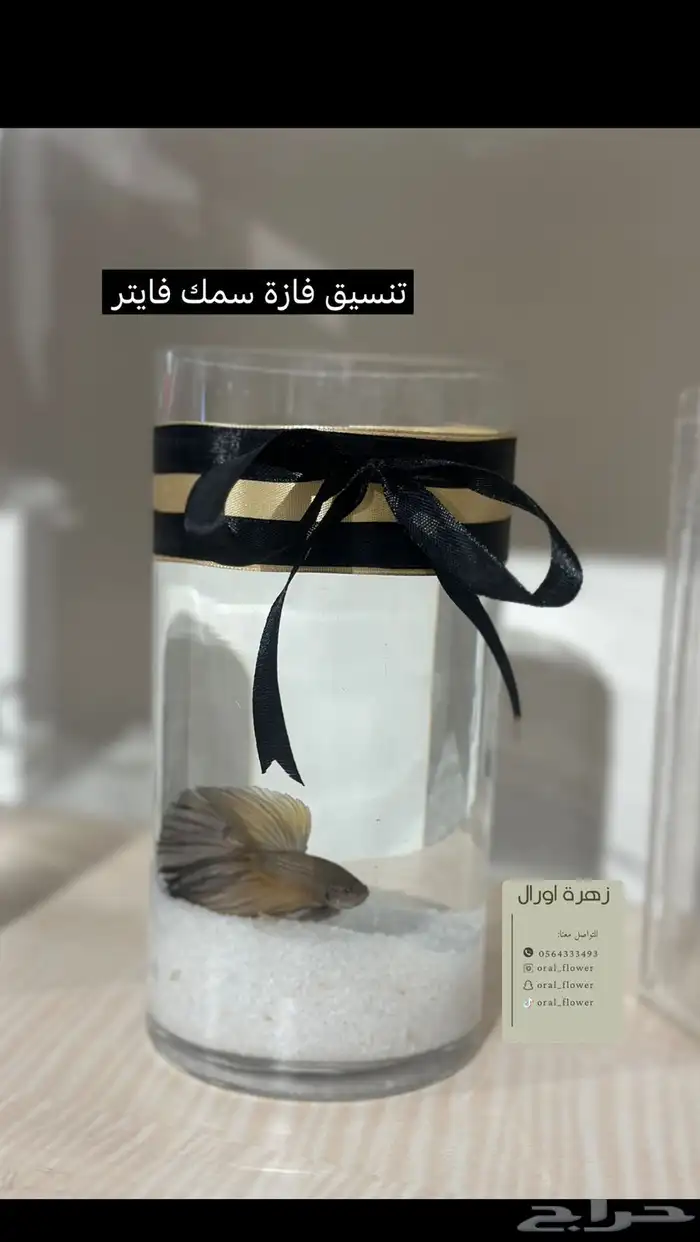 فازات سمك فايتر 5