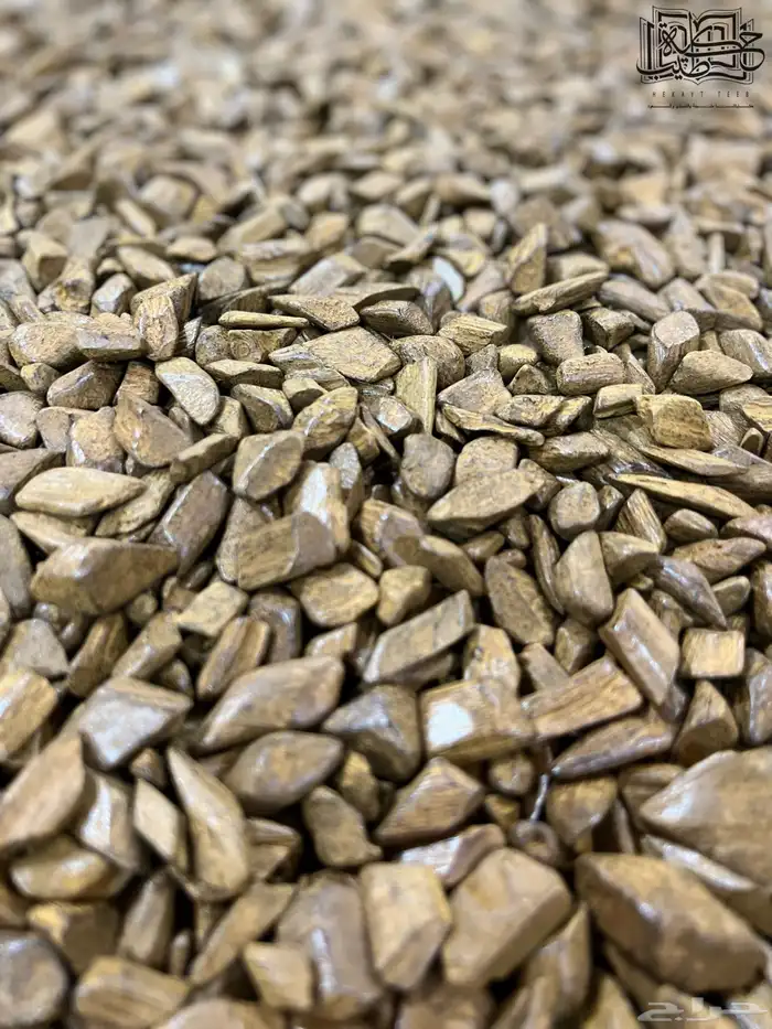 عود مروكي دقه بيور طبيعي محسن (عرض اليوم الوطني) 3