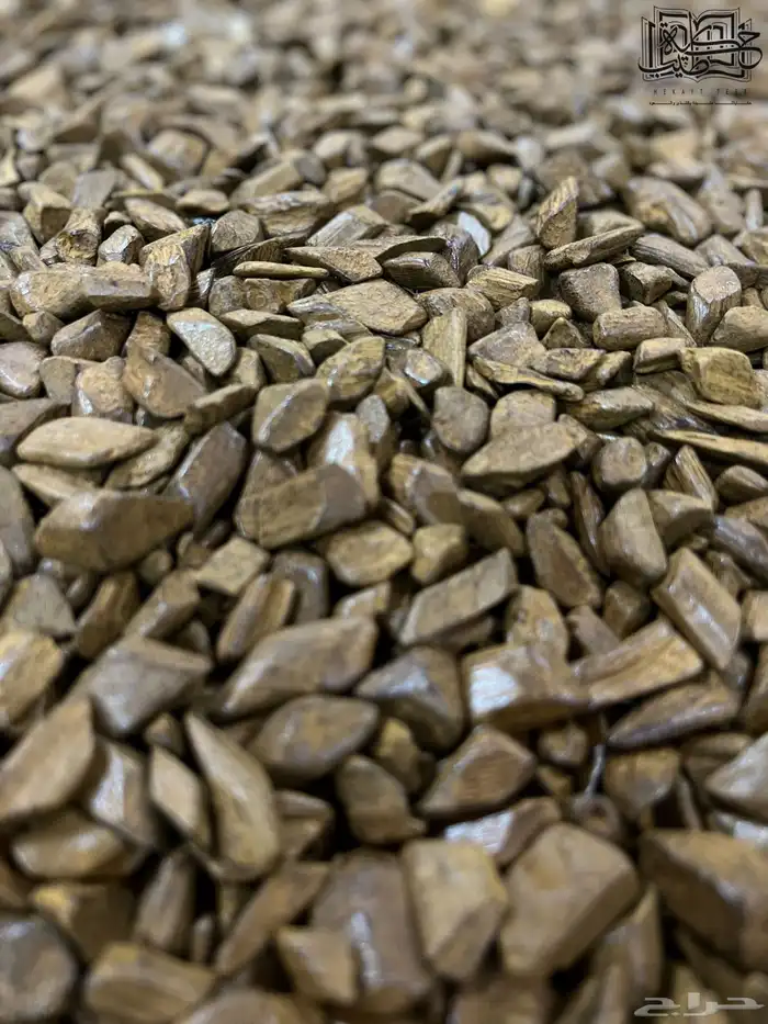 عود مروكي دقه بيور طبيعي محسن (عرض اليوم الوطني) 0