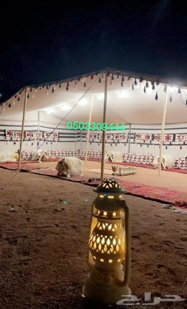 بيوت شعر خيام مجالس بيت شعر ابيض اسود 25