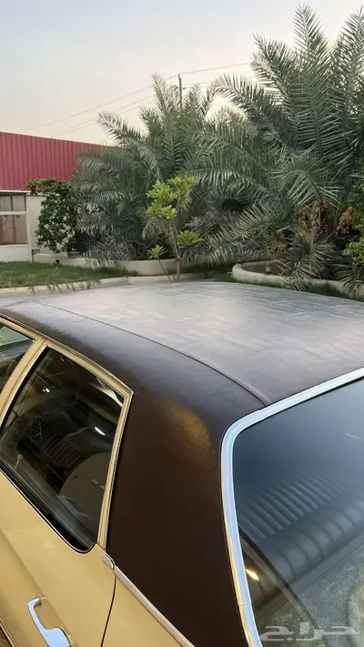 بيوك 1973 ليسابر مخزن بالأحساء 14