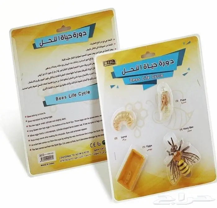 دورة حياة الحيوانات الحيوانات ب18 ريال 3