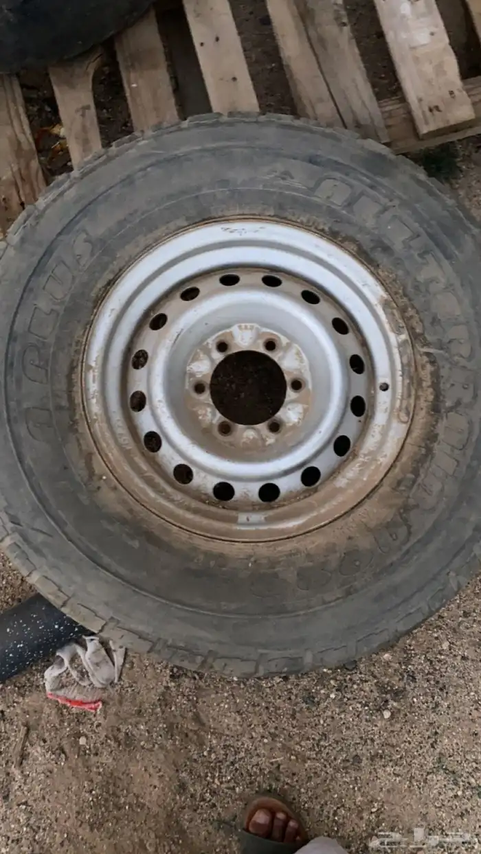 جنوط شاص 1