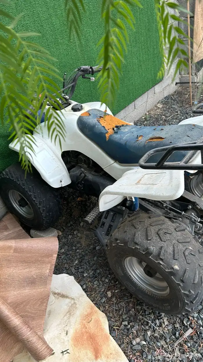 دباب رام 90 2