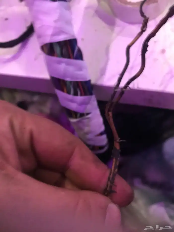 ضفيره علبه فيوزات تجديد كامل 15