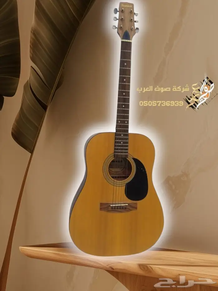 جيتار جيتارات كيتار قيتار قيثارة 14