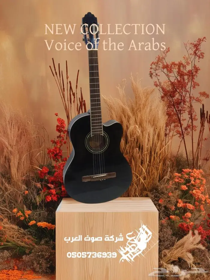 جيتار جيتارات كيتار قيتار قيثارة 31