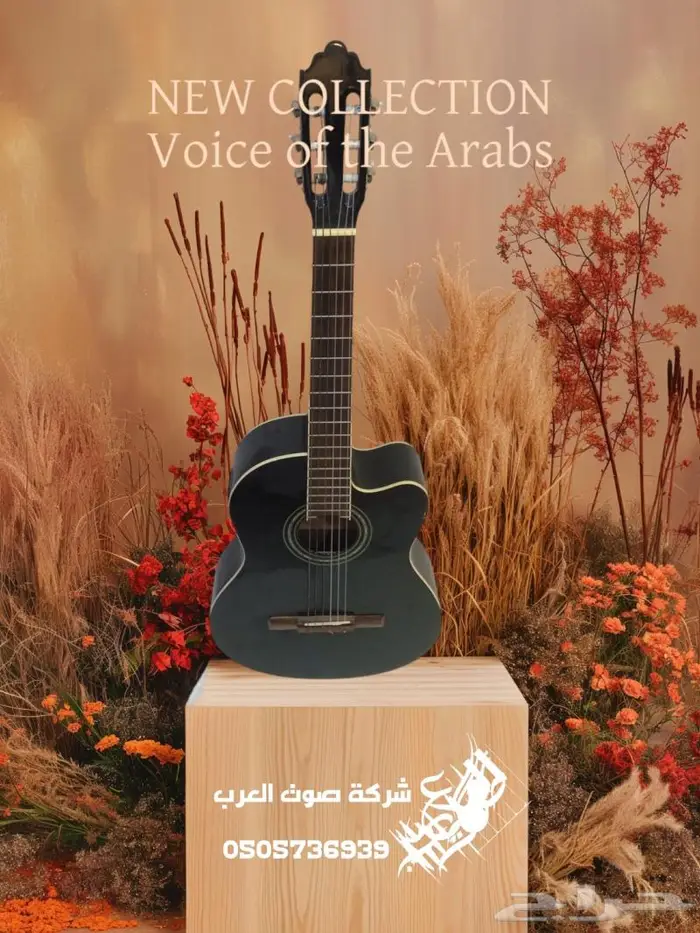 جيتار جيتارات كيتار قيتار قيثارة 32