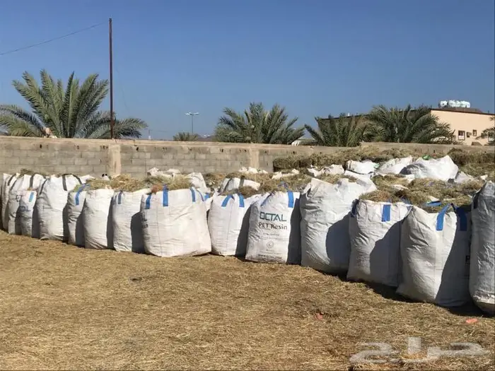 اكياس كبيرة جدا 2