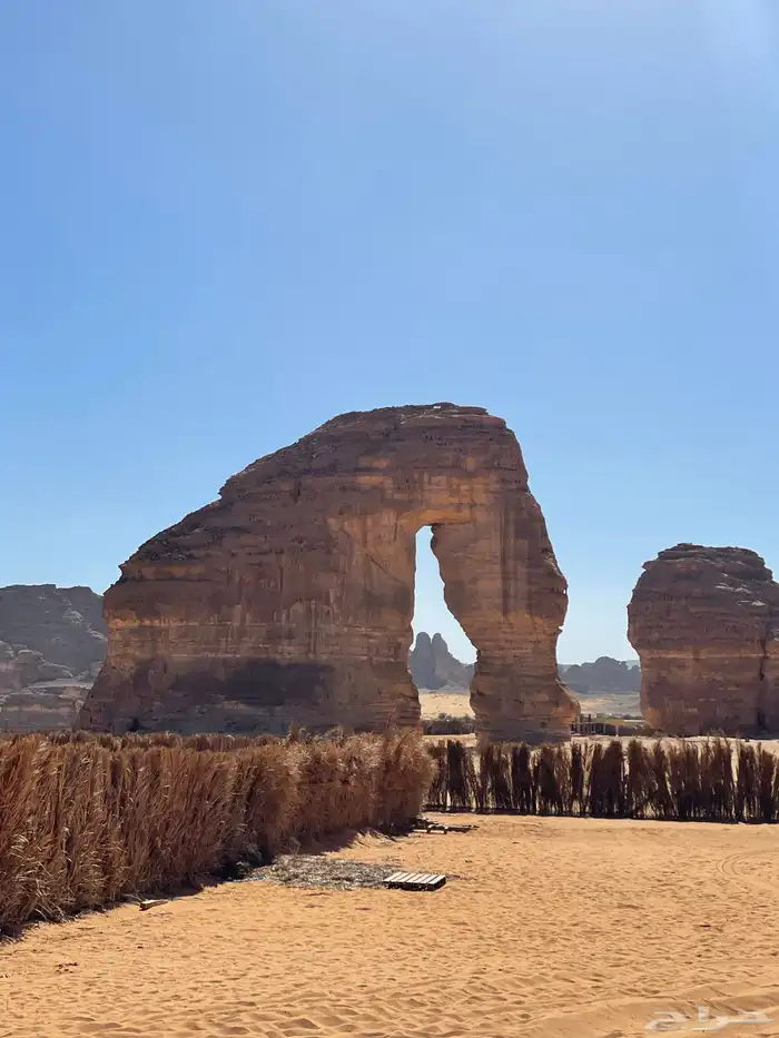 خدمات لوجستية نيوم توريد وتصدير logistics Taxi Service Tabuk 1