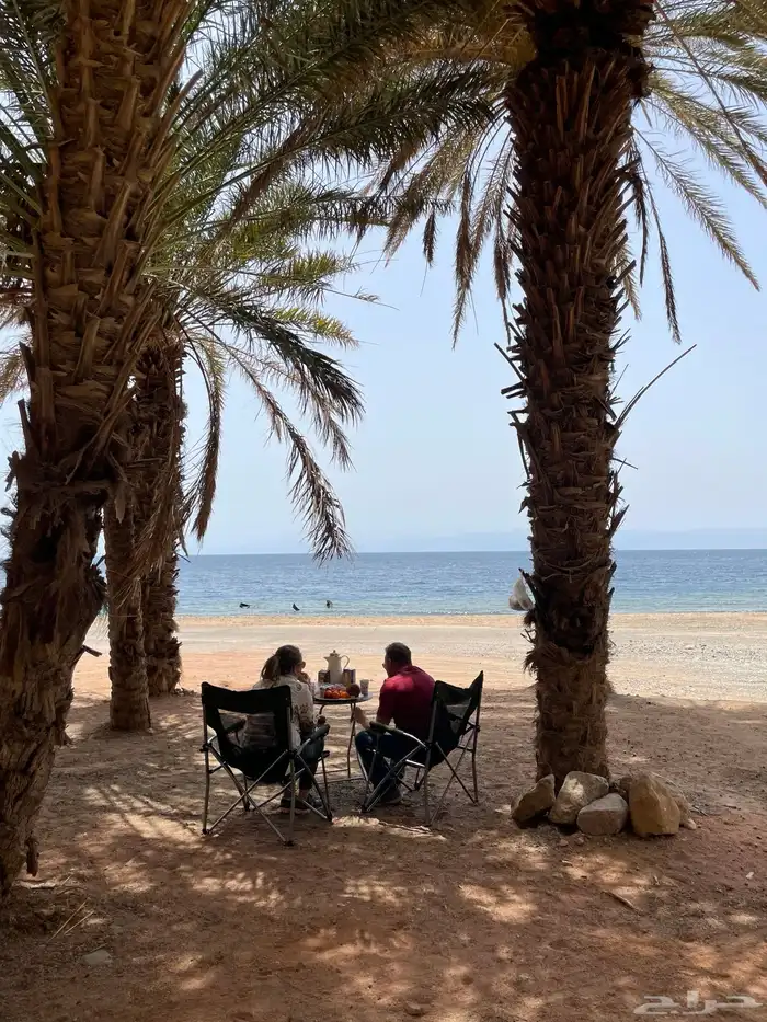 خدمات لوجستية نيوم توريد وتصدير logistics Taxi Service Tabuk 8