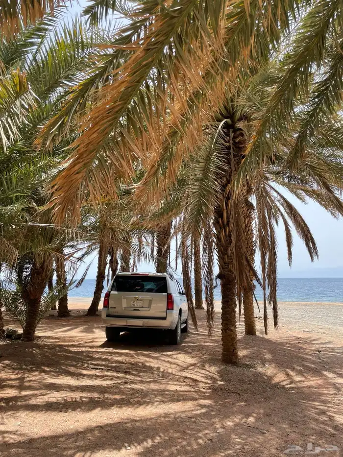 خدمات لوجستية نيوم توريد وتصدير logistics Taxi Service Tabuk 9